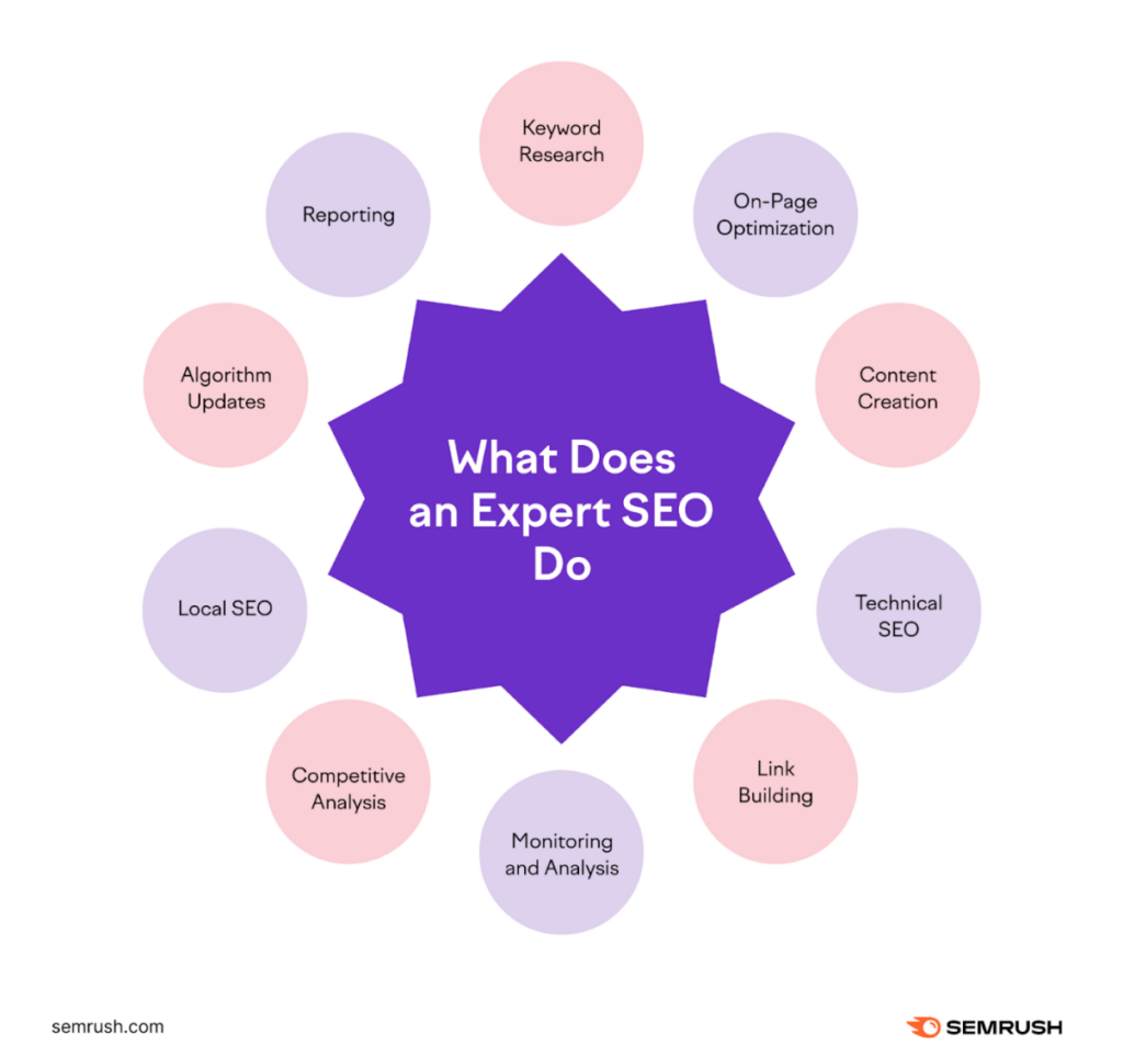 what does an expert SEO do