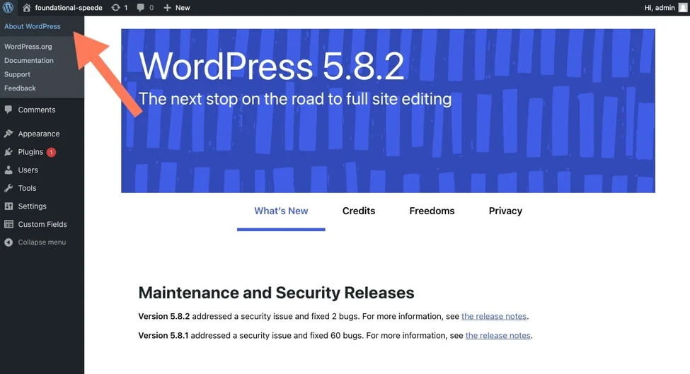 checking strong wordpress maintenance version about wordpress